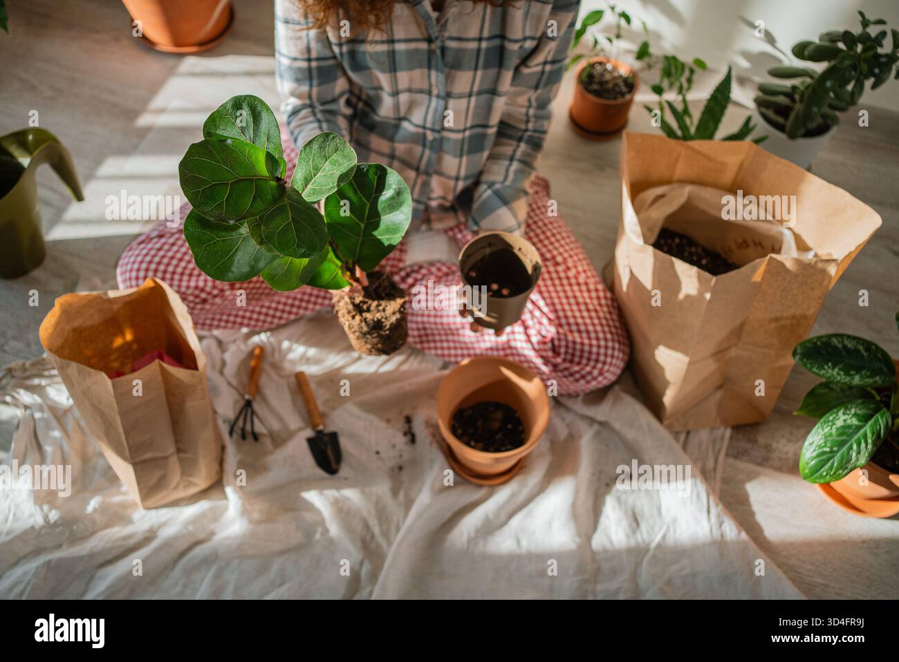 Nursery tools hi-res stock photography and images - Alamy