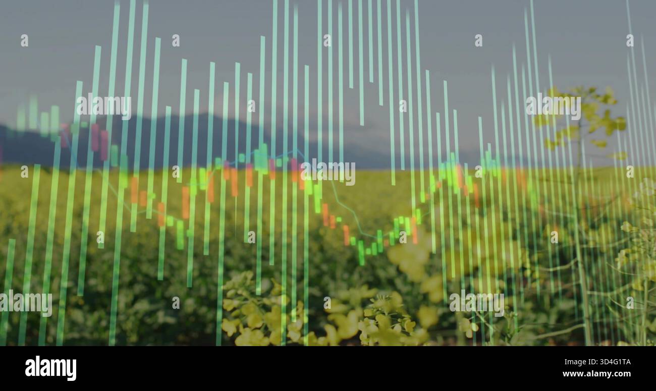 Yellow Rows Showing yellow rows stretching to rural field horizon with financial ...
