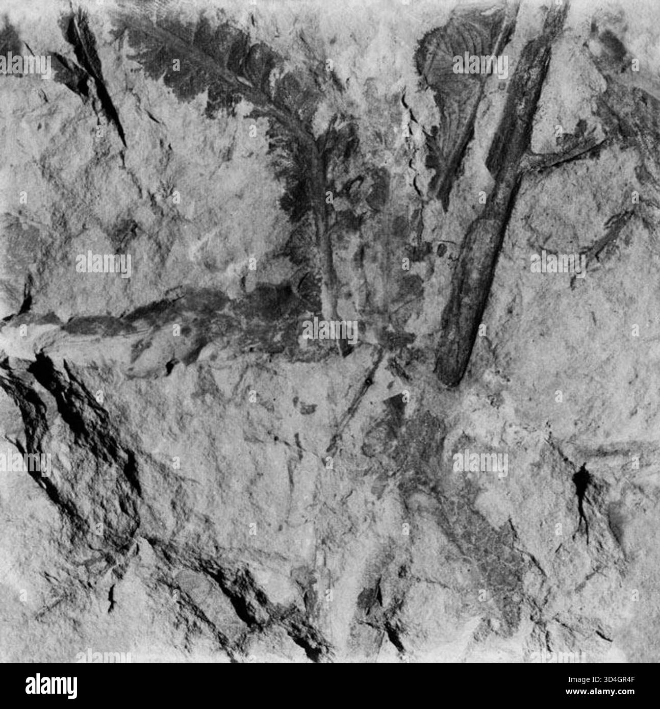 Rock formation remains Black and White Stock Photos & Images - Alamy