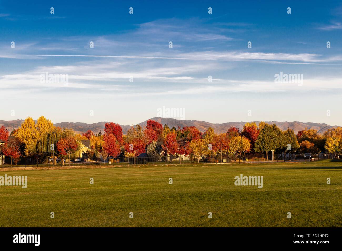 falling leaves Stock Photo