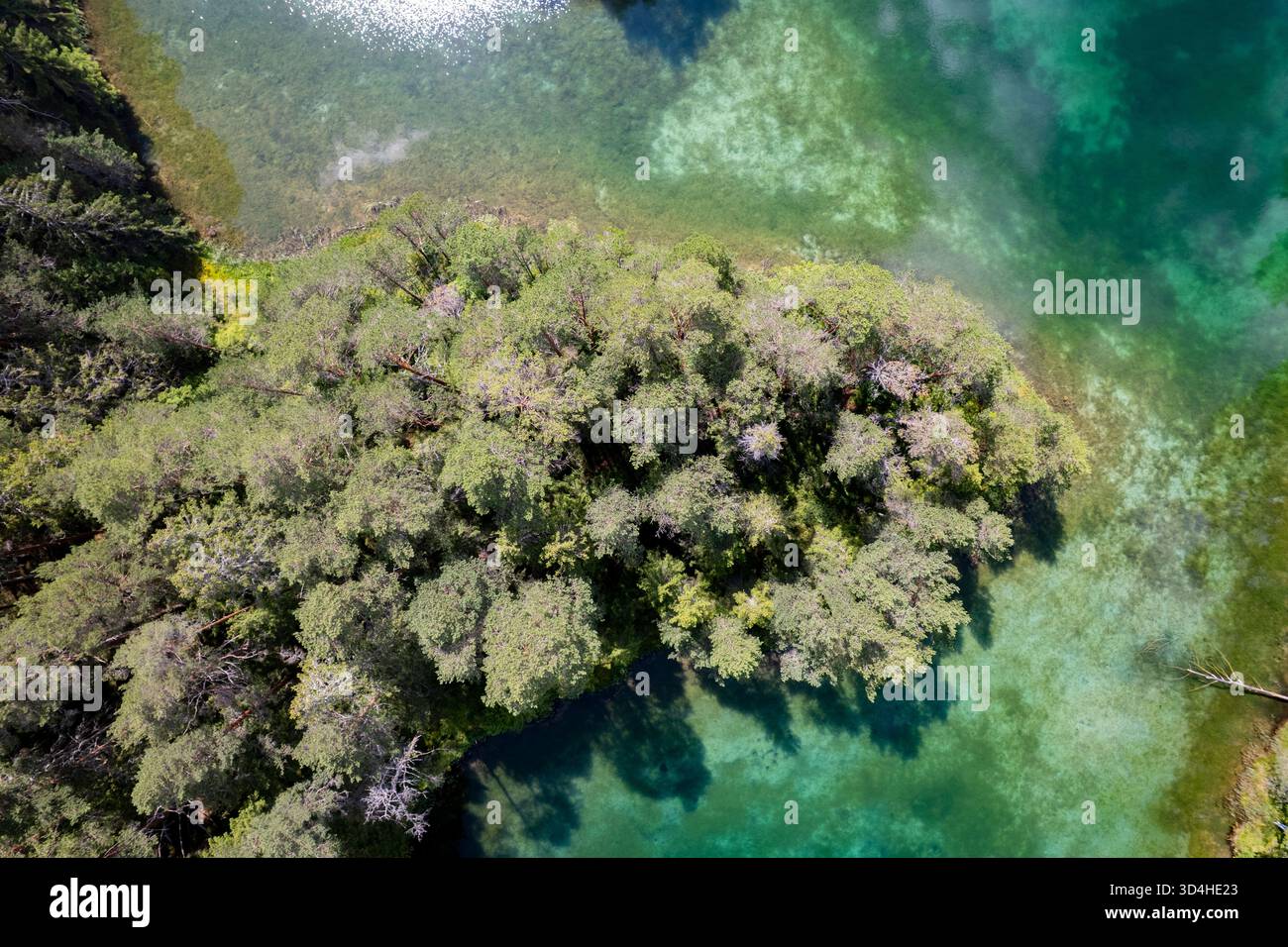 Äntu blue lake in Estonia, a clear water lake shining in emerald colors Stock Photo