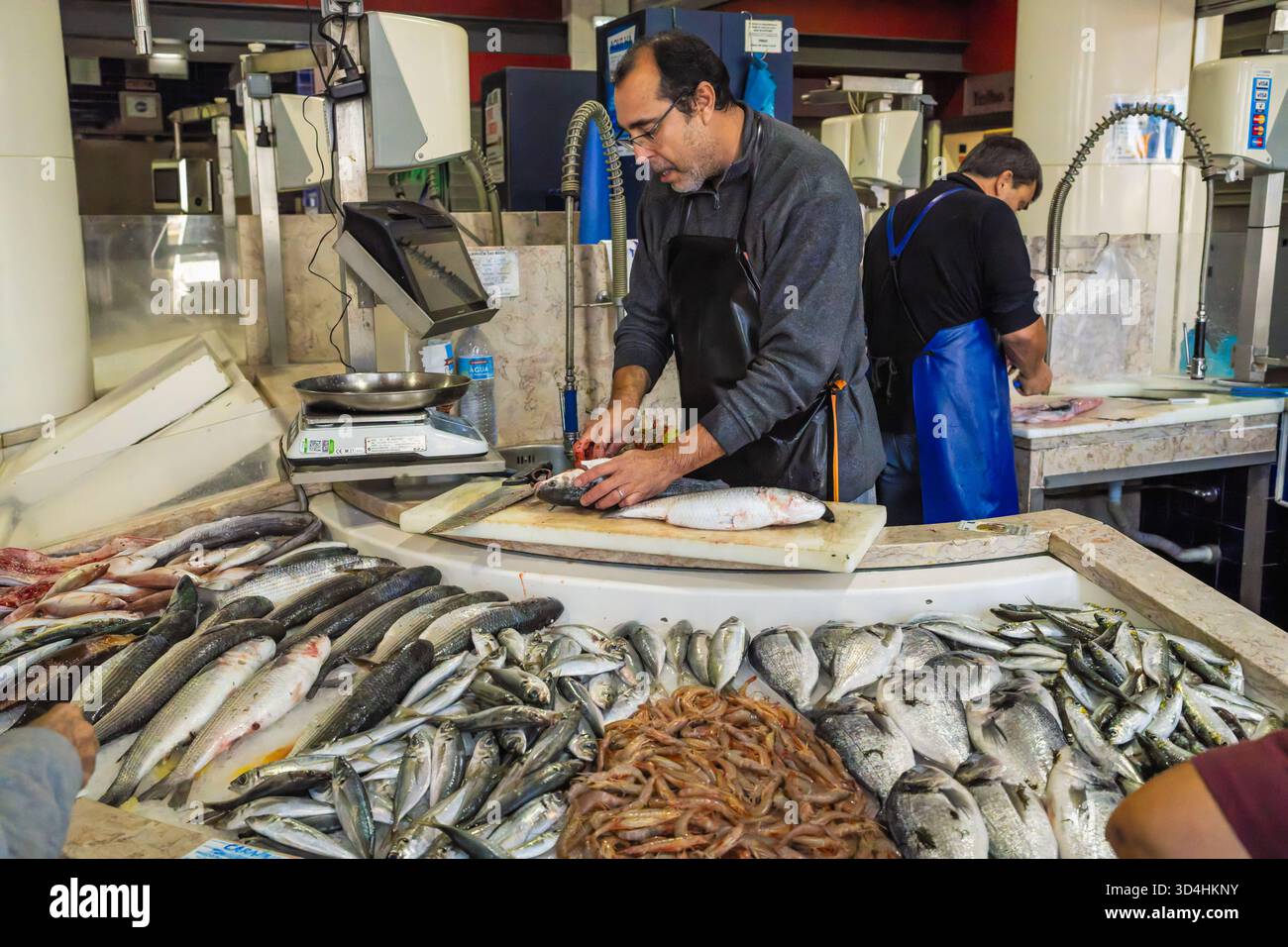 Lagos, Portugal, November 8, 2025, a fishmonger cleans a fish behind a display of freshly caught seafood at the local market. Stock Photo