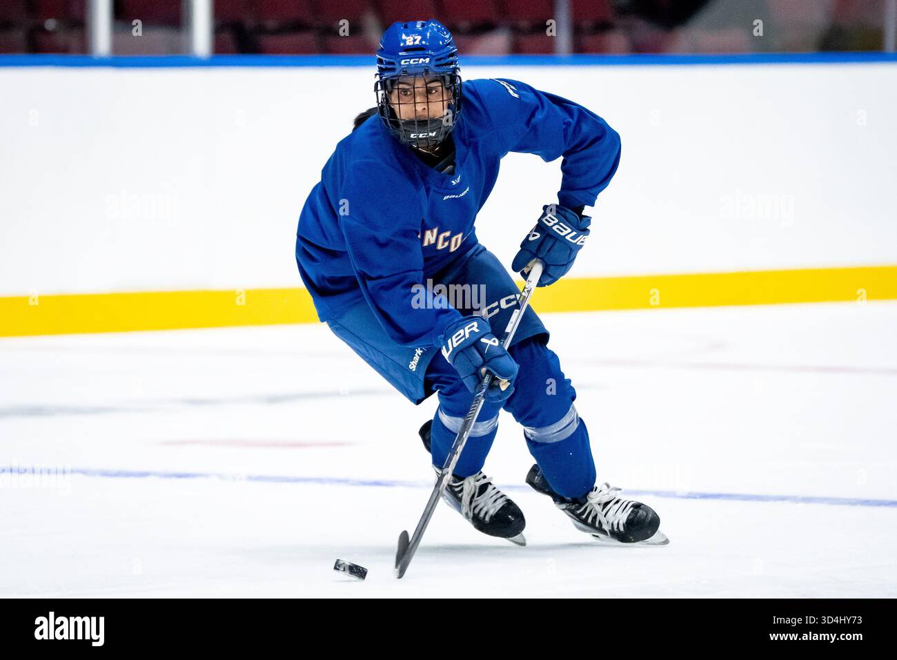 Vancouver Goldeneyes Chanreet Bassi skates with the puck during the ...