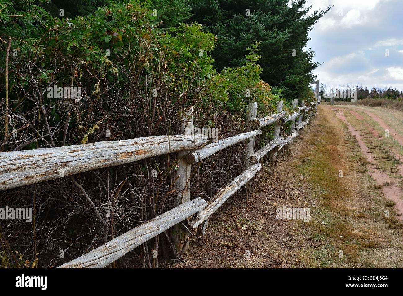 Rustic Split-Rail Wooden Fence Alongside a Dirt Path Stock Photo