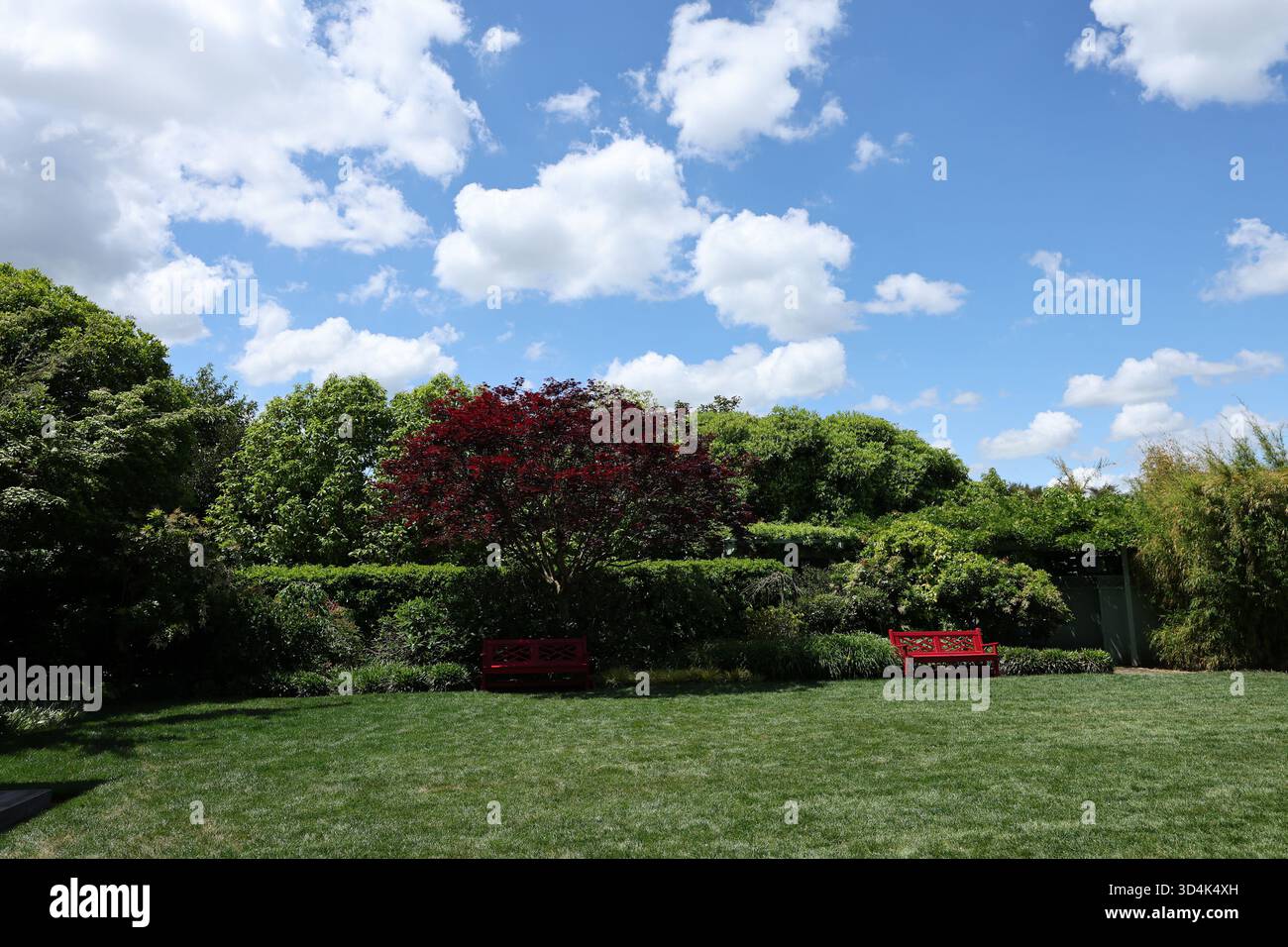 Garden lawn with red benches under clouds Stock Photo