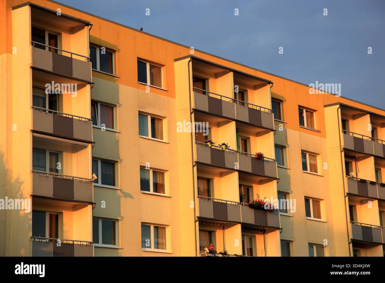 Mietwohnungen der Weimarer Wohnungsgenossenschaft, Plattenbau, Balkone, Renoviert, Wohnraum, Mecklenburg-Vorpommern, Deutschland IMG 4589 Stock Photo