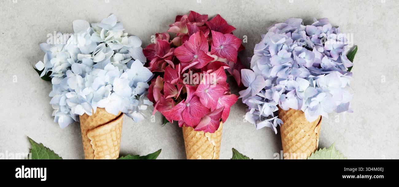 Creative flat lay featuring pink, blue, and white hydrangea blooms in waffle cones, arranged side by side on a neutral backdrop. Stock Photo