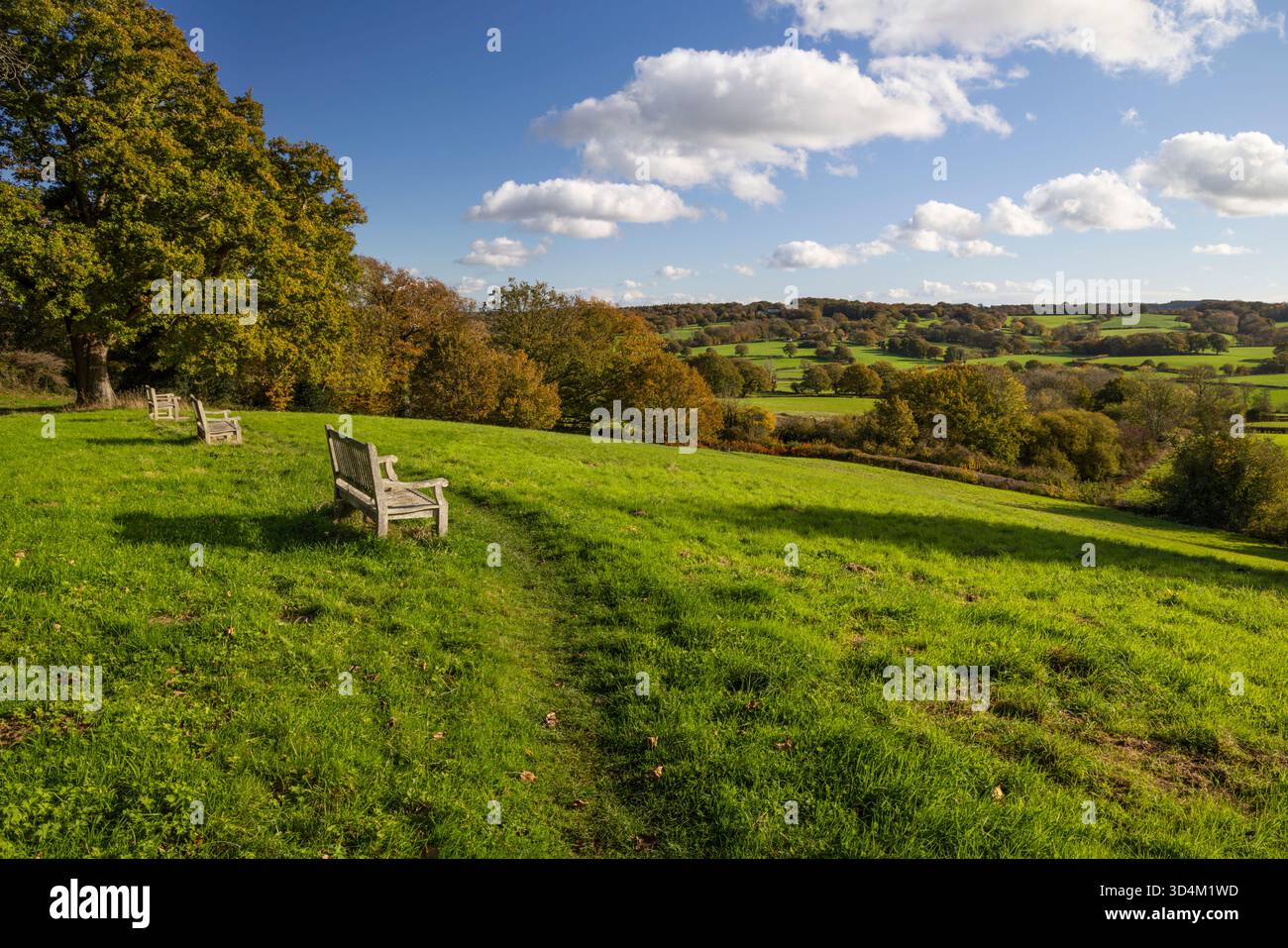 Wooden benches with view over the High Weald countryside in autumn, Burwash, East Sussex, England, United Kingdom, Europe Stock Photo