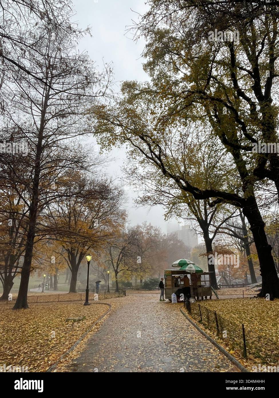 Central Park — ever-changing, ever-alive, where each season tells its own New York story. - Smartphone Captured Stock Image