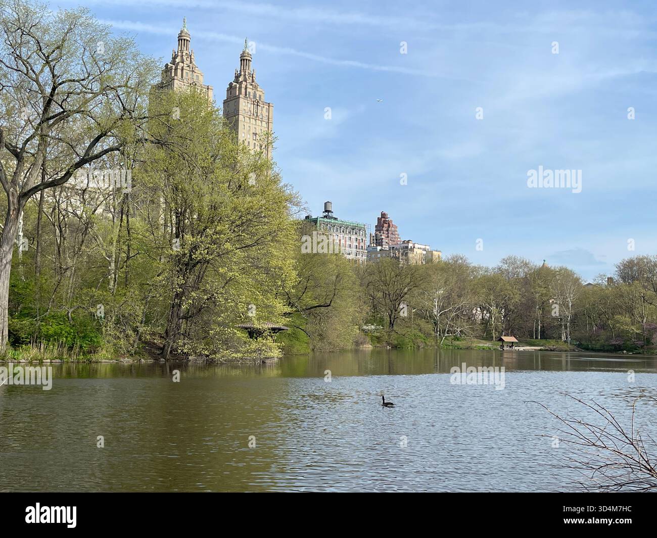 Central Park — ever-changing, ever-alive, where each season tells its own New York story. - Smartphone Captured Stock Image