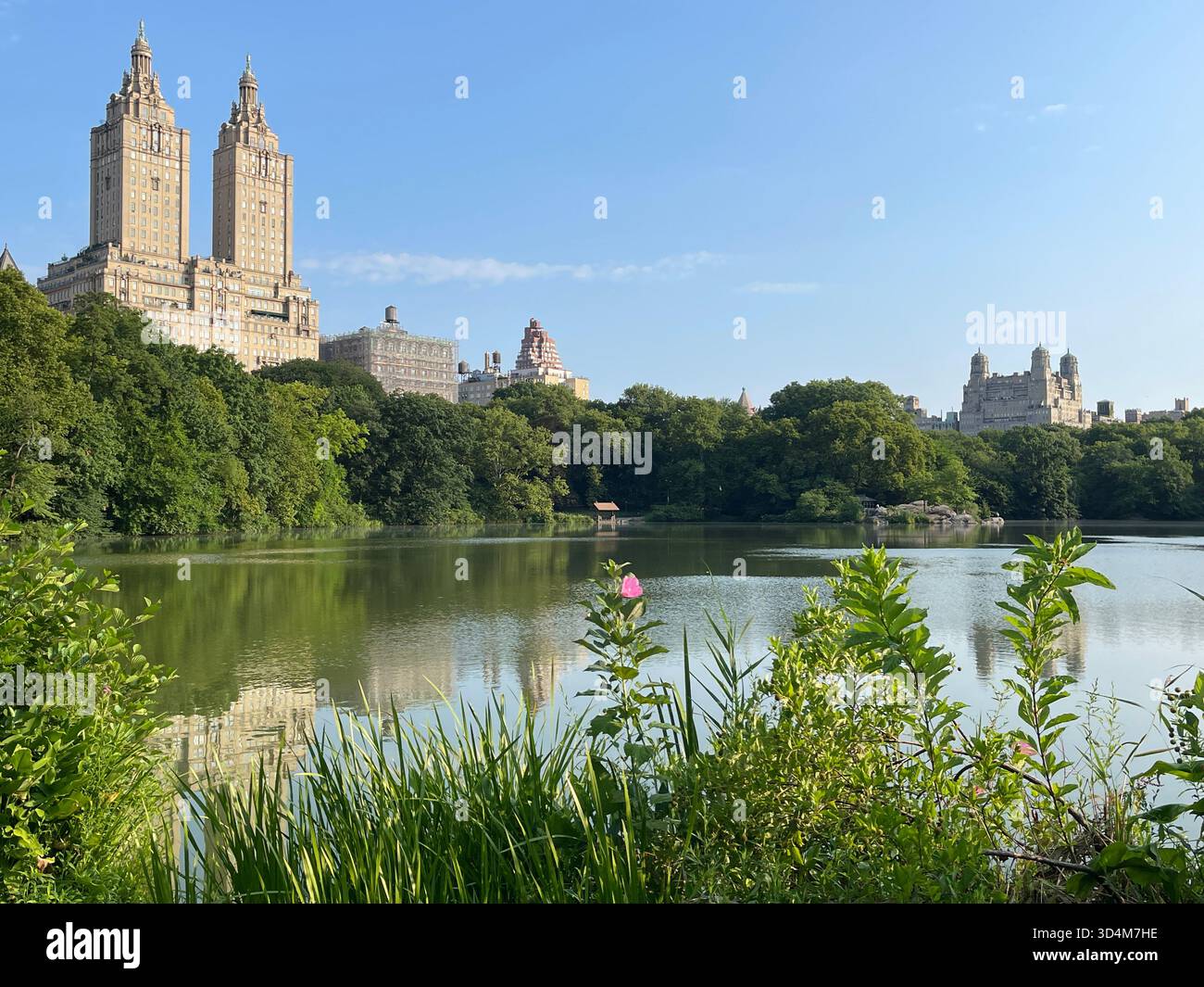 Central Park — ever-changing, ever-alive, where each season tells its own New York story. - Smartphone Captured Stock Image