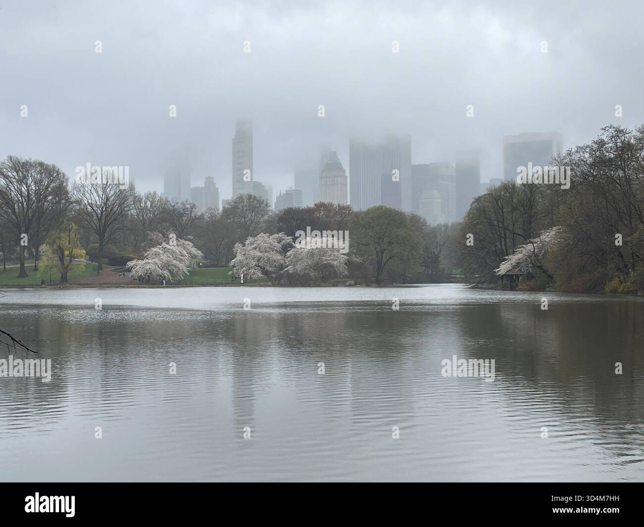 A dreamy spring morning at the Lake in Central Park. - Smartphone Captured Stock Image