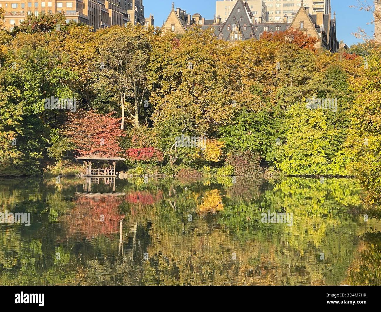 Central Park — ever-changing, ever-alive, where each season tells its own New York story. - Smartphone Captured Stock Image