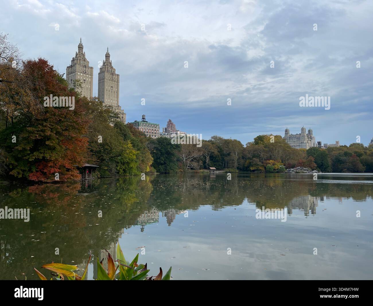 Central Park — ever-changing, ever-alive, where each season tells its own New York story. - Smartphone Captured Stock Image
