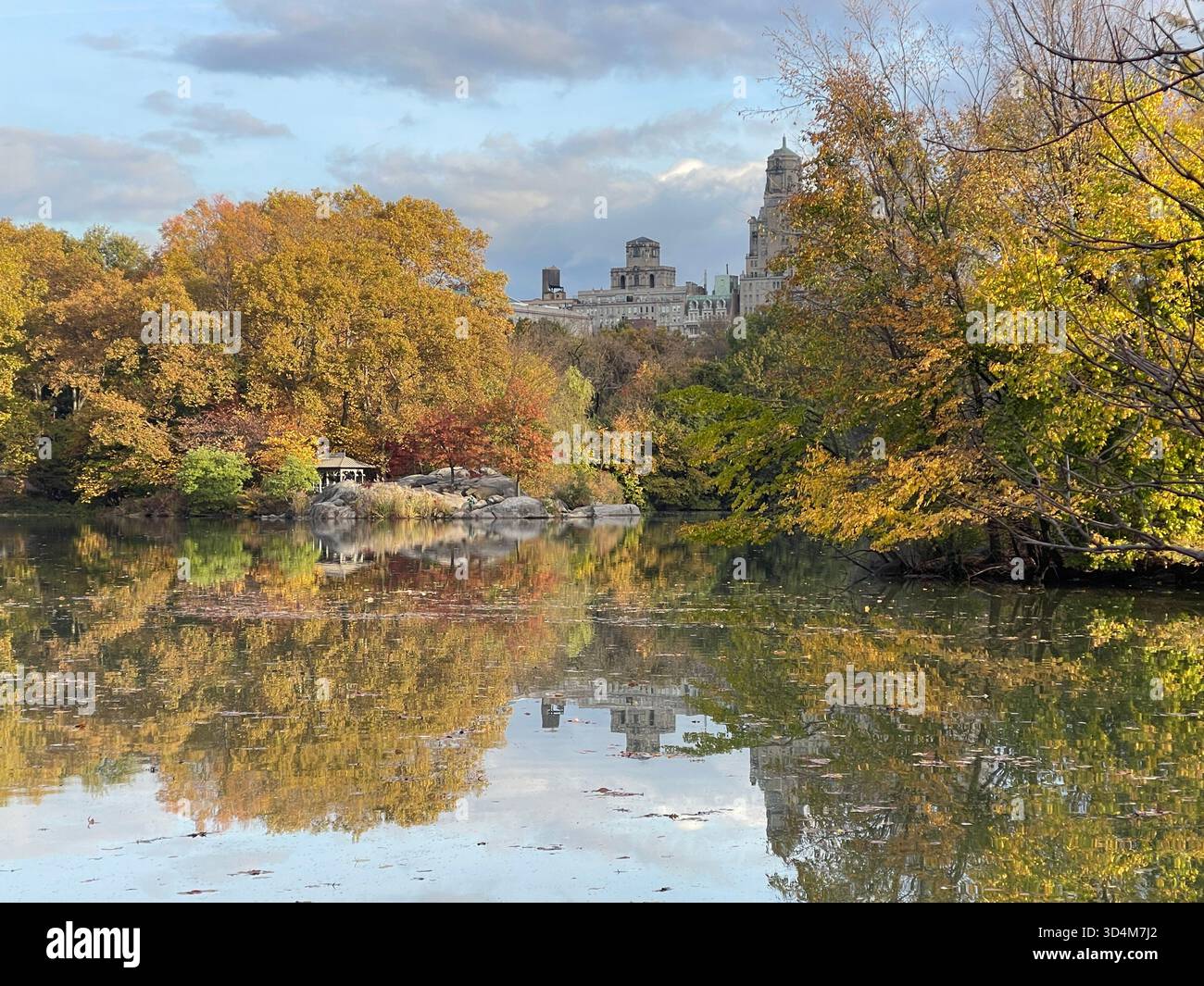 Central Park — ever-changing, ever-alive, where each season tells its own New York story. - Smartphone Captured Stock Image