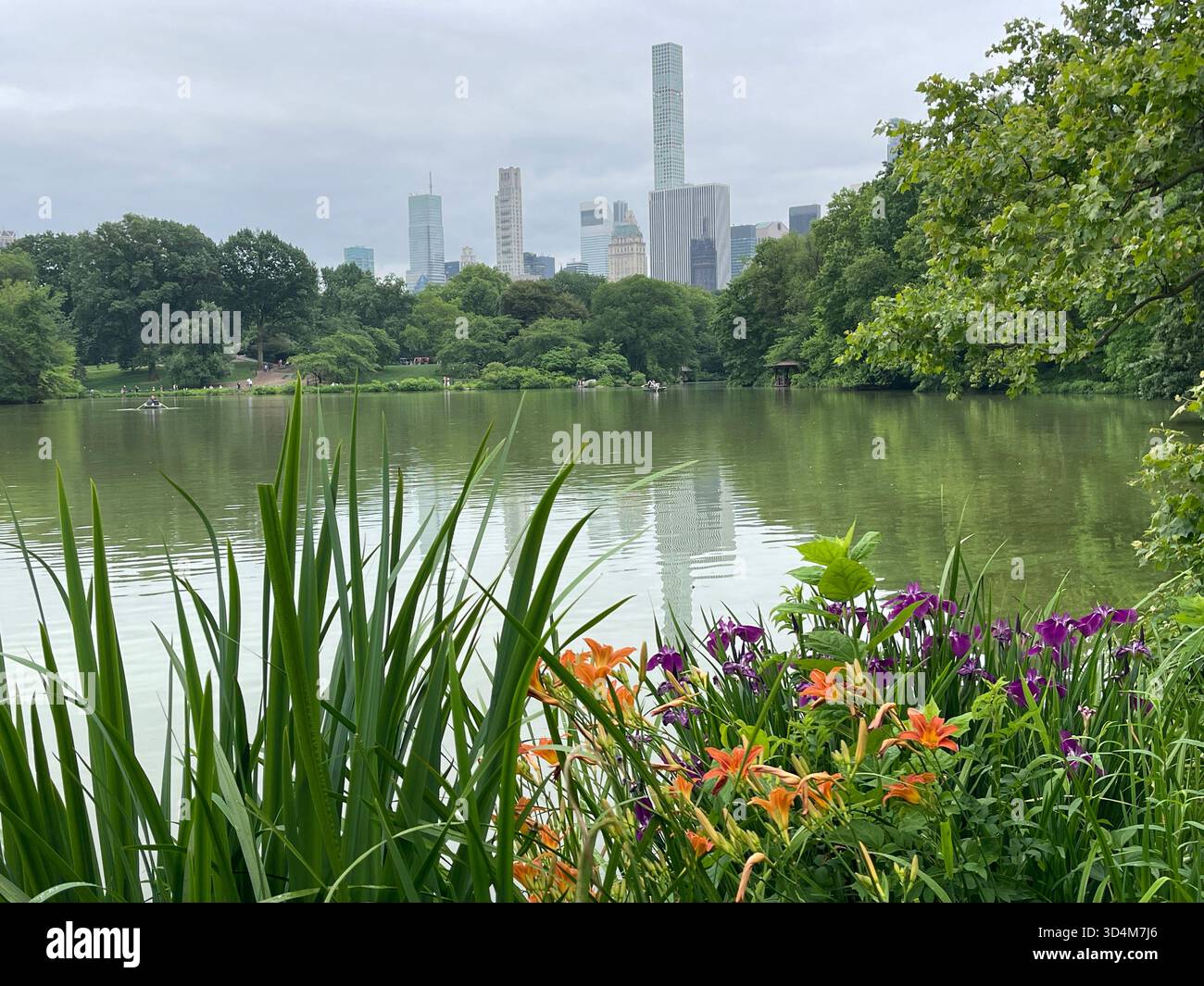 A dreamy spring morning at the Lake in Central Park. - Smartphone Captured Stock Image