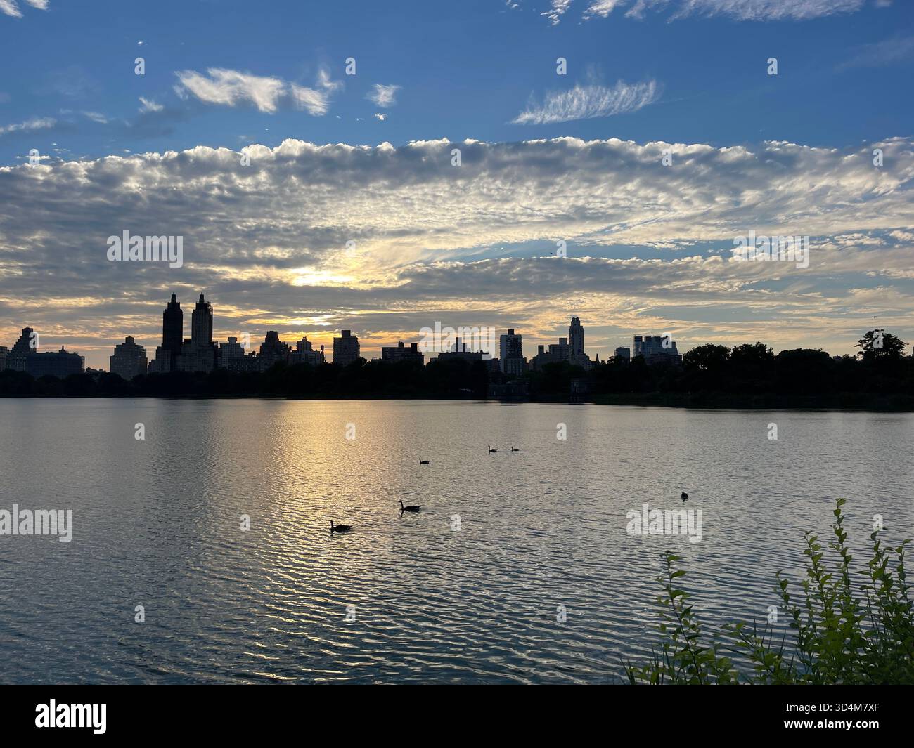 Central Park — ever-changing, ever-alive, where each season tells its own New York story. - Smartphone Captured Stock Image