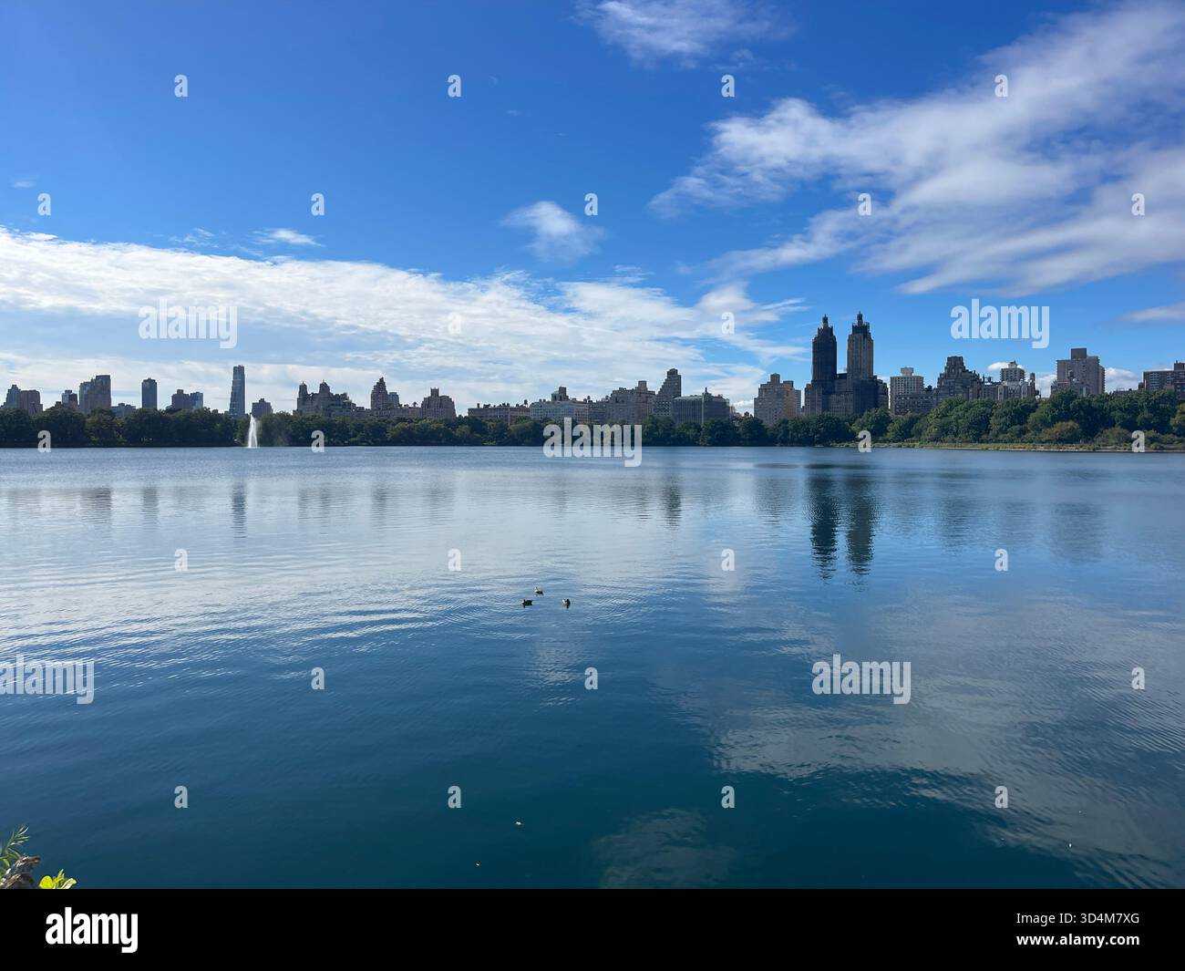 Central Park — ever-changing, ever-alive, where each season tells its own New York story. - Smartphone Captured Stock Image