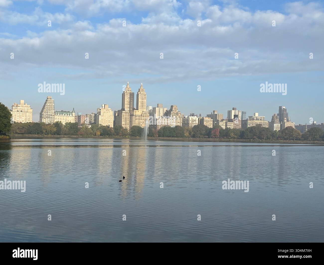 Central Park — ever-changing, ever-alive, where each season tells its own New York story. - Smartphone Captured Stock Image