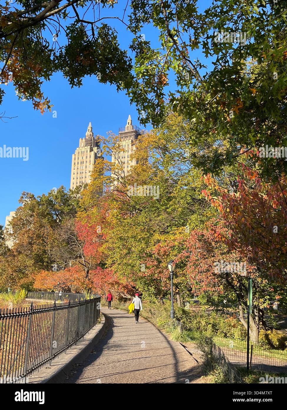 Central Park — ever-changing, ever-alive, where each season tells its own New York story. - Smartphone Captured Stock Image