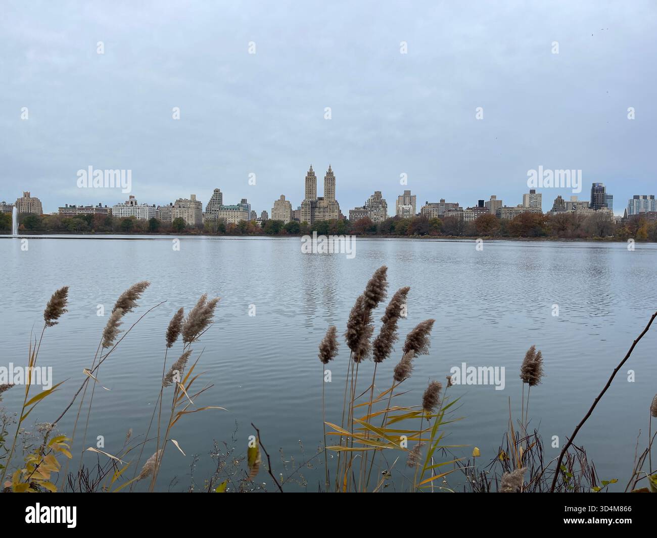 Central Park — ever-changing, ever-alive, where each season tells its own New York story. - Smartphone Captured Stock Image