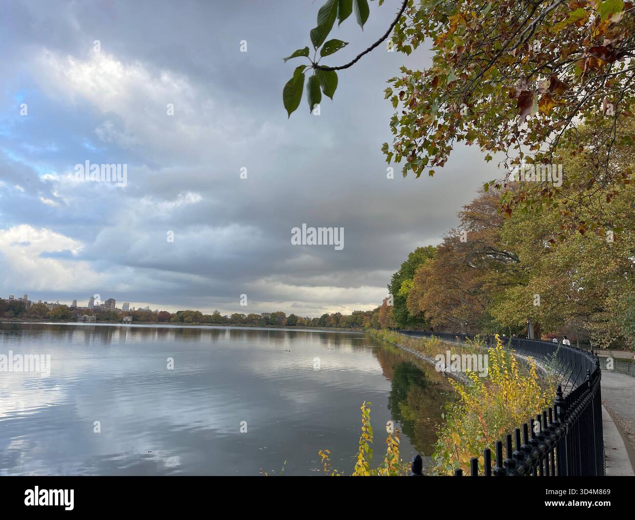 Central Park — ever-changing, ever-alive, where each season tells its own New York story. - Smartphone Captured Stock Image