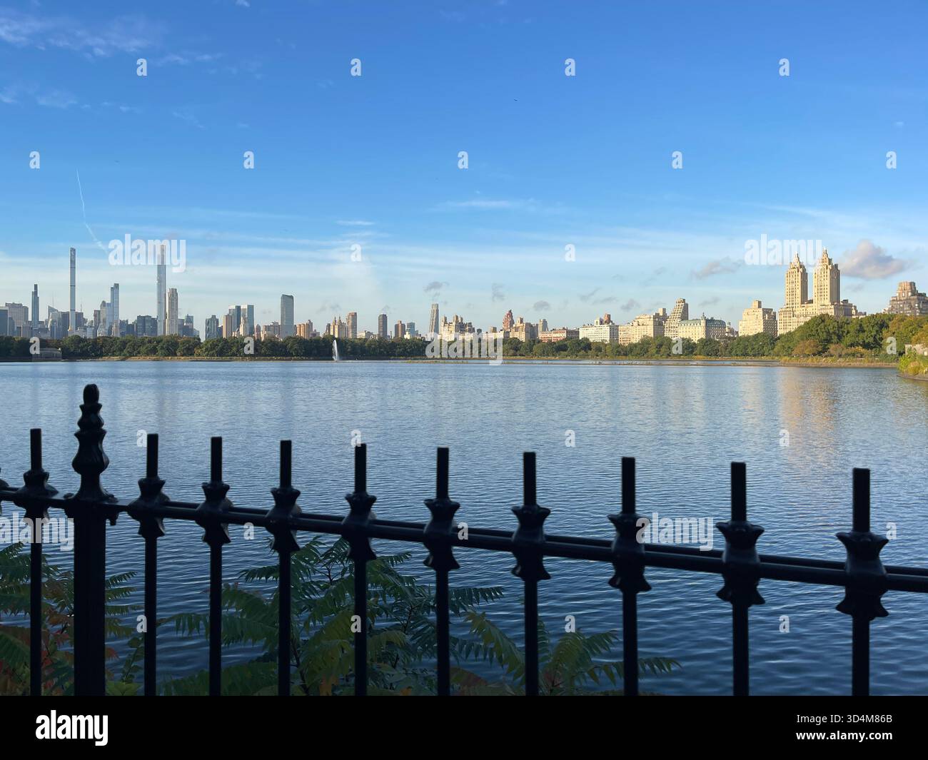 Central Park — ever-changing, ever-alive, where each season tells its own New York story. - Smartphone Captured Stock Image