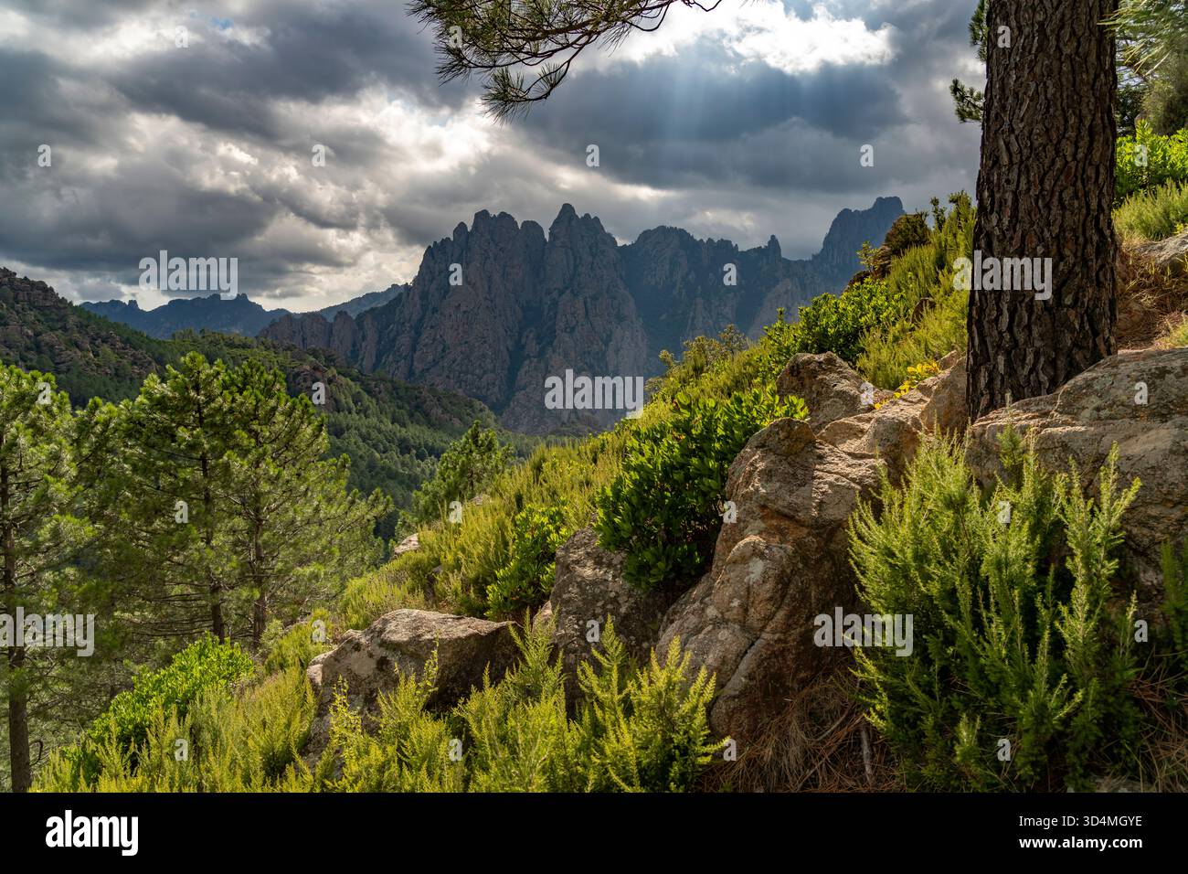Korsika, Frankreich |   Corsica, France Stock Photo