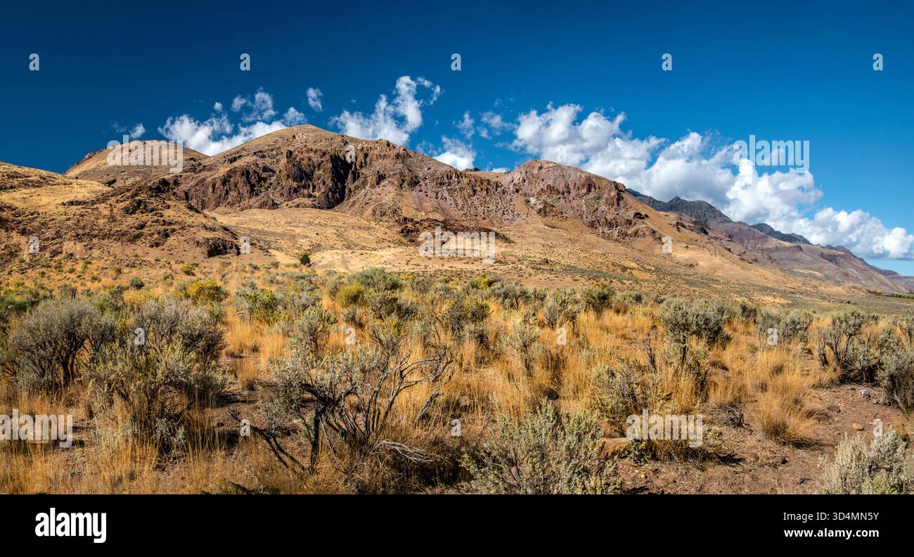 Steens Mountain range, view from East Steens Road (Hwy 201), N of Fields Station, Alvord Desert, High Desert region, Oregon, USA Stock Photo