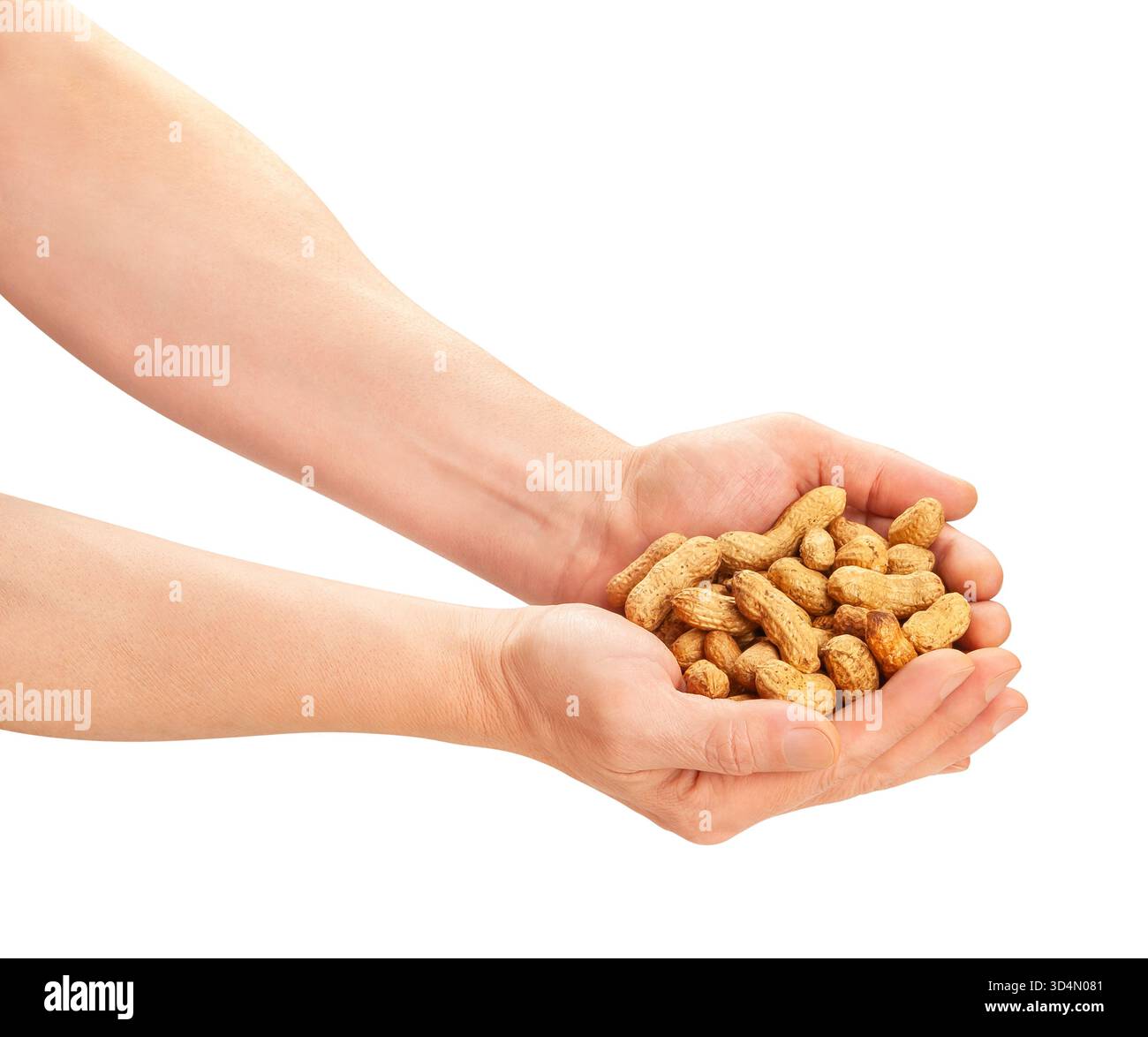 peanuts in hand path isolated on white Stock Photo