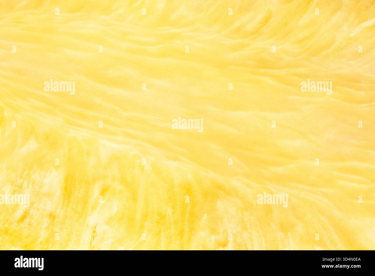 sliced pineapple texture closeup detail Stock Photo
