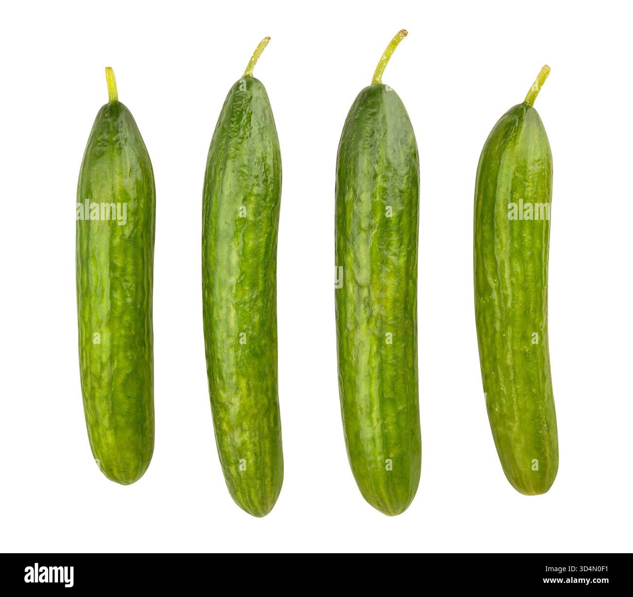 cucumbers path isolated on white Stock Photo