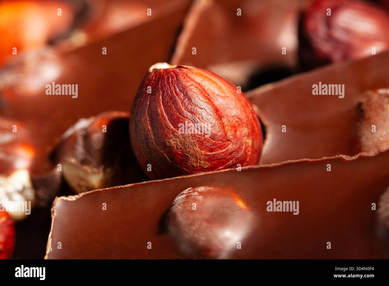 hazelnut chocolate macro closeup detail Stock Photo