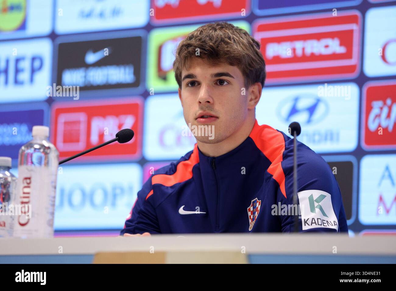 Luka Vuskovic Croatia Broader International Context