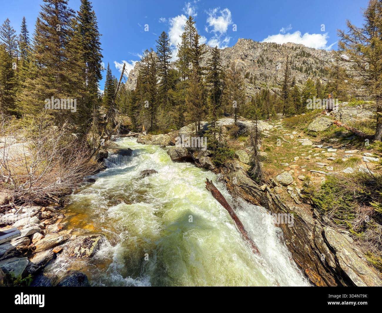 Scenic landscape view of fresh clean water in a mountain stream in the Grand Teton National Park. No people. - Smartphone Captured Stock Image