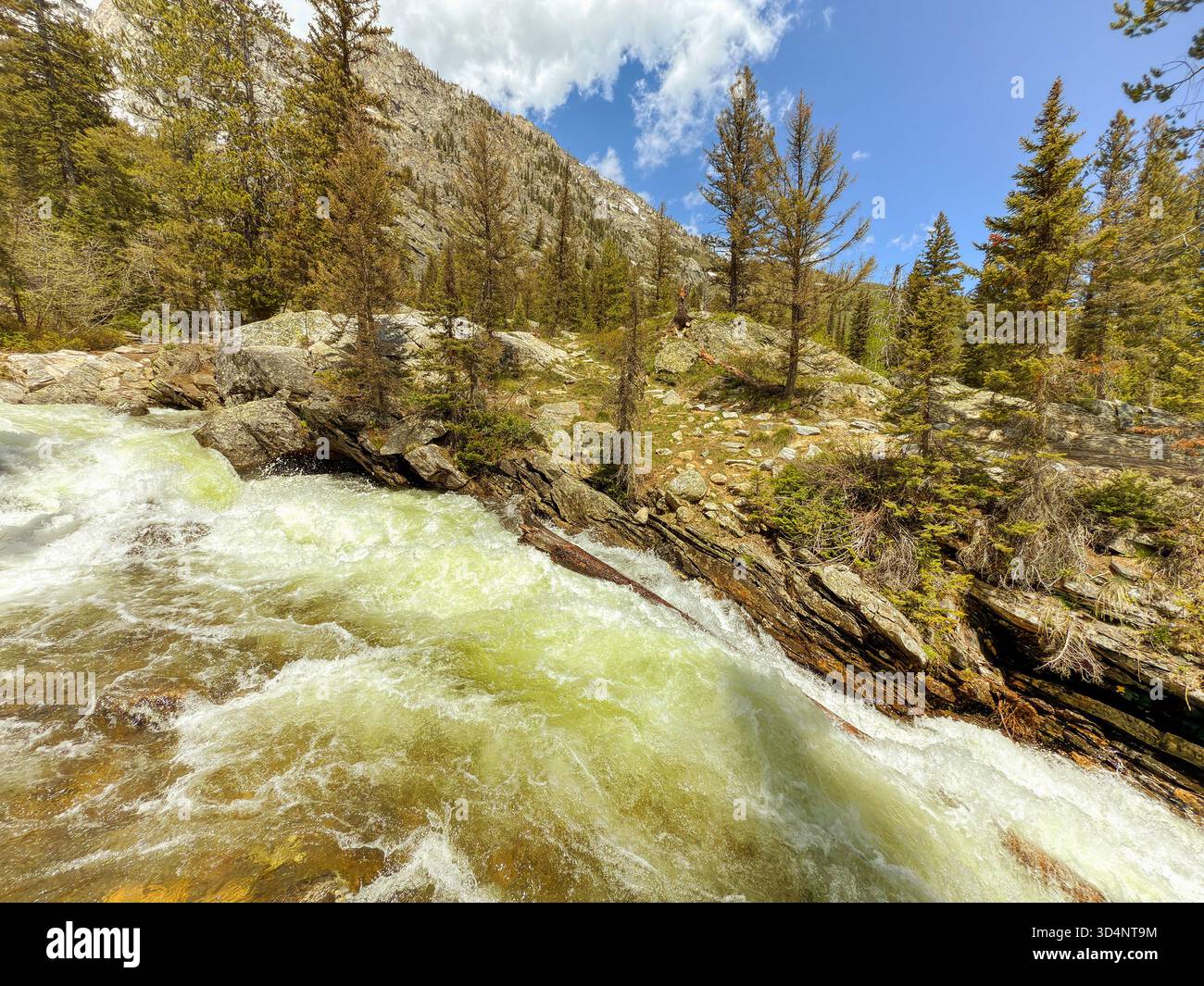 Scenic landscape view of fresh clean water in a mountain stream in the Grand Teton National Park. No people. - Smartphone Captured Stock Image