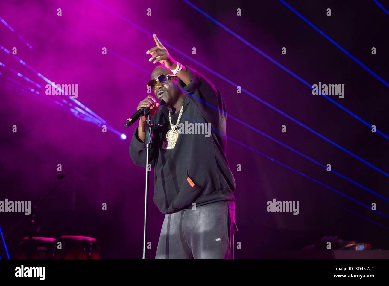 NEW DELHI, INDIA - NOVEMBER 9: American singer and rapper Akon performs ...