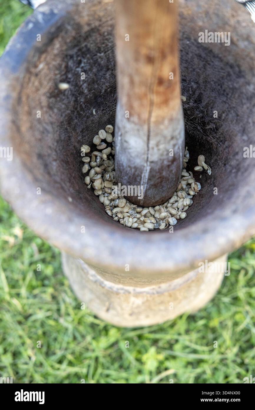 Pounding coffee beans in in N giresi village, Tanzania. Pounding coffee beans in in N giresi village, Tanzania 016951 064 Stock Photo