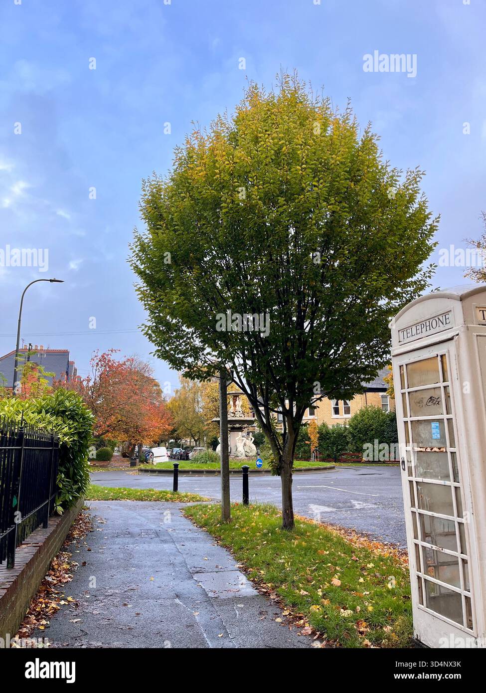 A traditional red telephone box standing near a quiet residential street lined with trees in autumn colours. Captured in Hull, East Yorkshire, United. - Smartphone Captured Stock Image