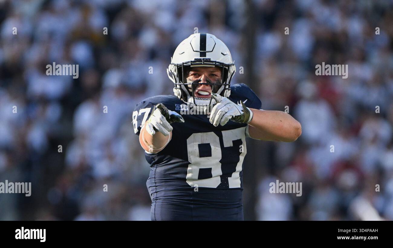 Andrew Rappleyea Penn State tight end Andrew Rappleyea (87) signals for a first down ...