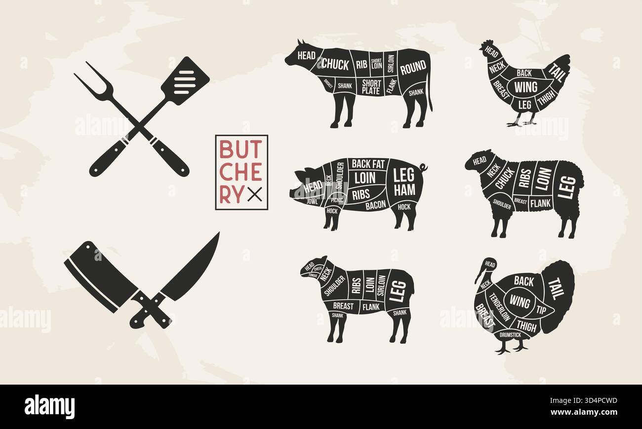 Butcher's guide set. Pig, Lamb, Cow, Chicken, Turkey silhouette cuts ...