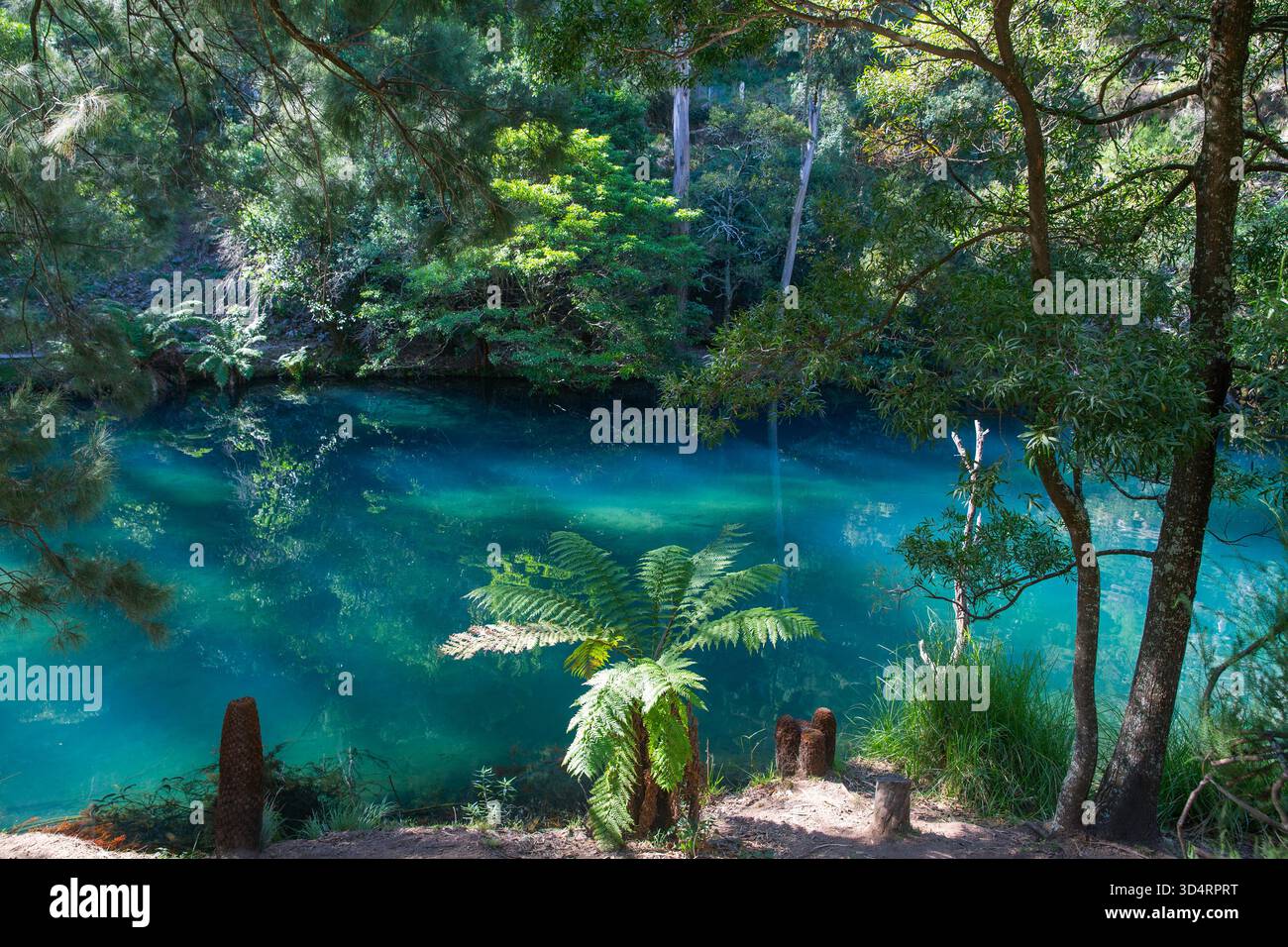 The Jenolan Caves are limestone caves located within the Jenolan Karst ...