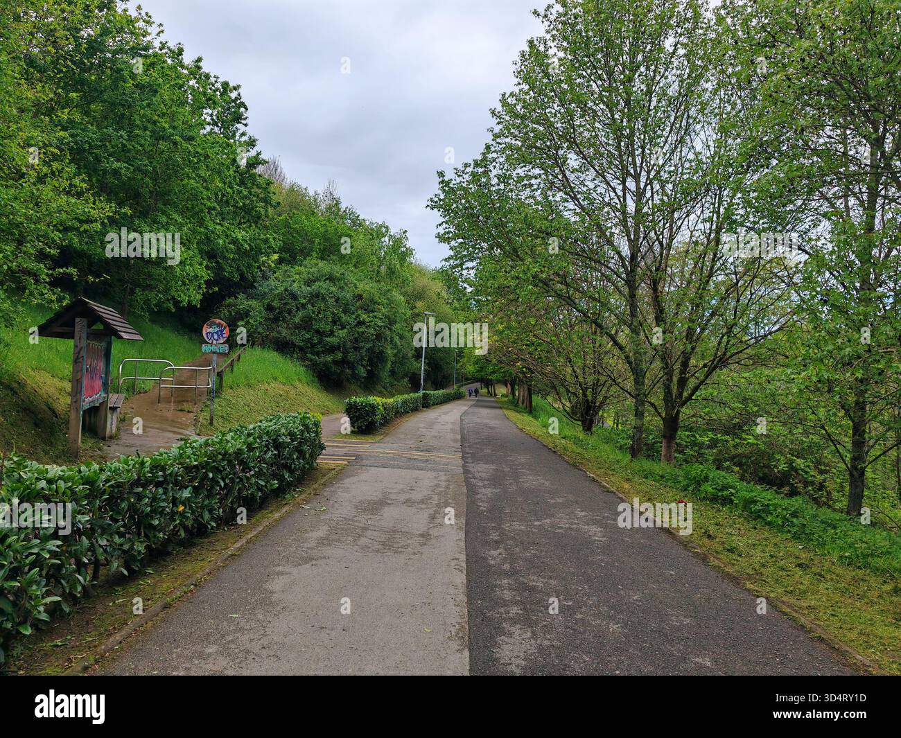 Park pathway with trees and greenery Stock Photo - Alamy
