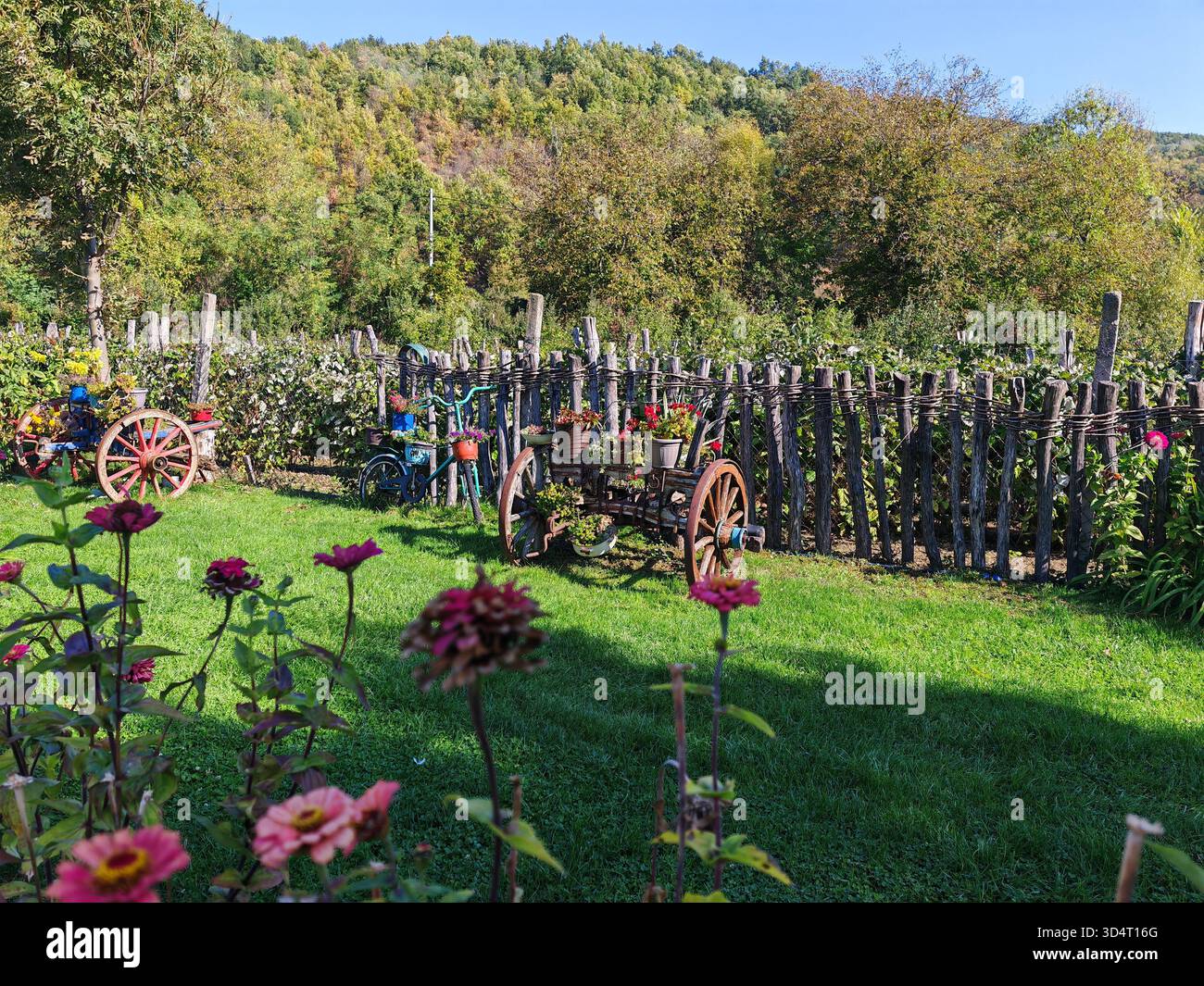 Wildflowers rustic wooden fence hi-res stock photography and images - Alamy