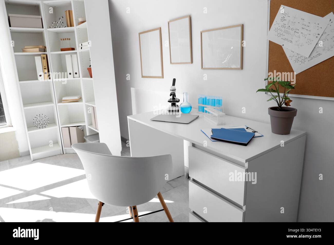 Interior of laboratory with workplace, frames and shelf unit Stock ...