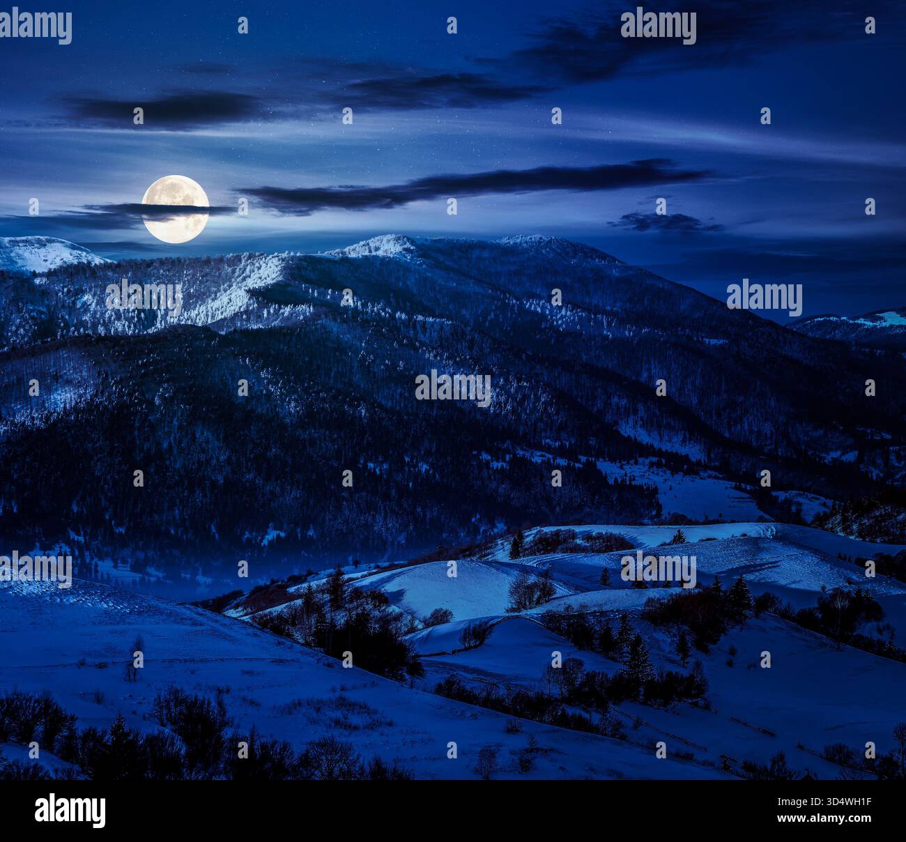 mountain rural area near peaks in snow on frosty winter at night. countryside landscape with rolling hill cover with snow in full moon light. backgrou Stock Photo