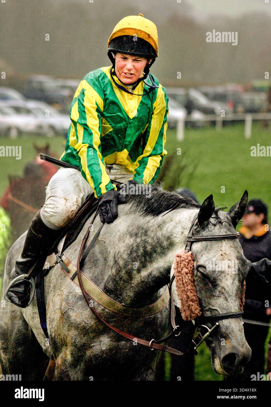 Point to point racing, Cornwall England Stock Photo - Alamy