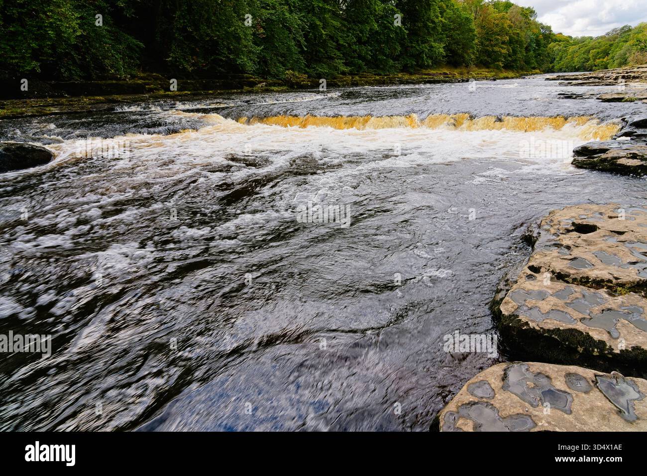 The shallow, fast flowing River Ure tumbles over the limestone steps of Aysgarth Falls. Stock Photo