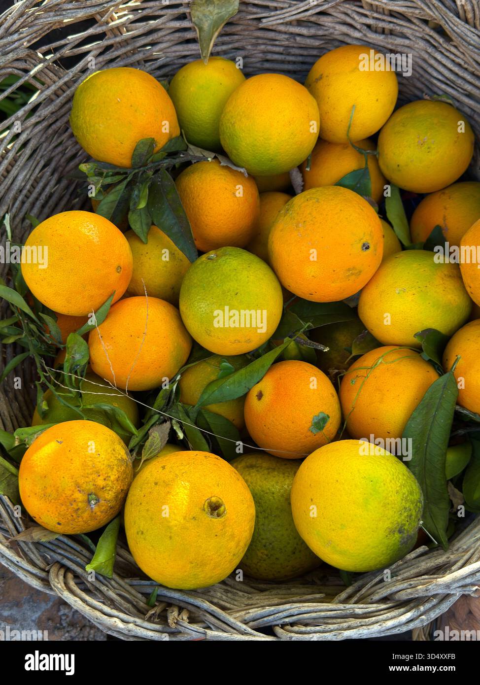 Fresh Oranges in Rustic Wicker Basket Stock Photo