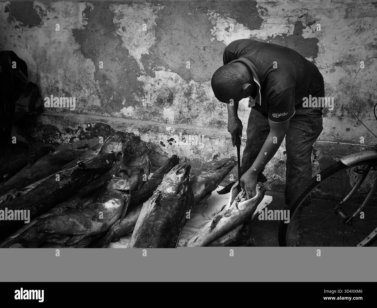 Zanzibar Black and White Stock Photos & Images - Alamy